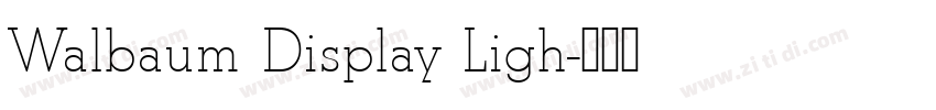 Walbaum Display Ligh字体转换